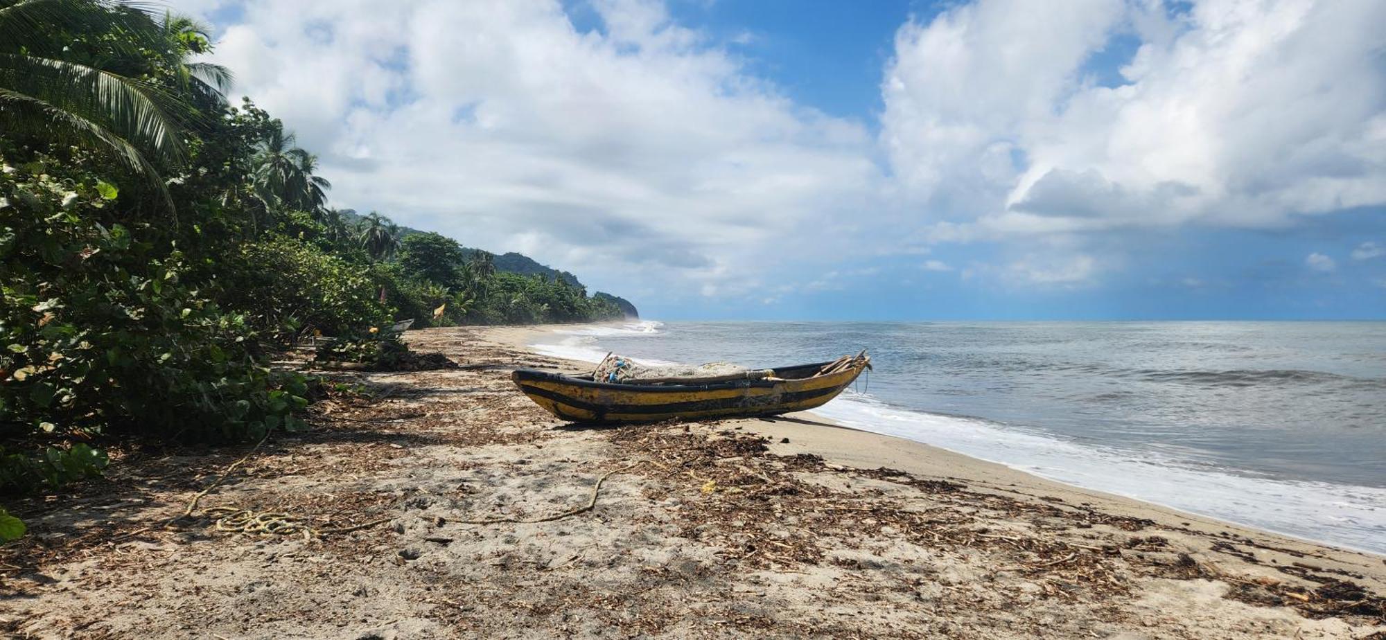 Nueva Onda Palomino Exterior foto